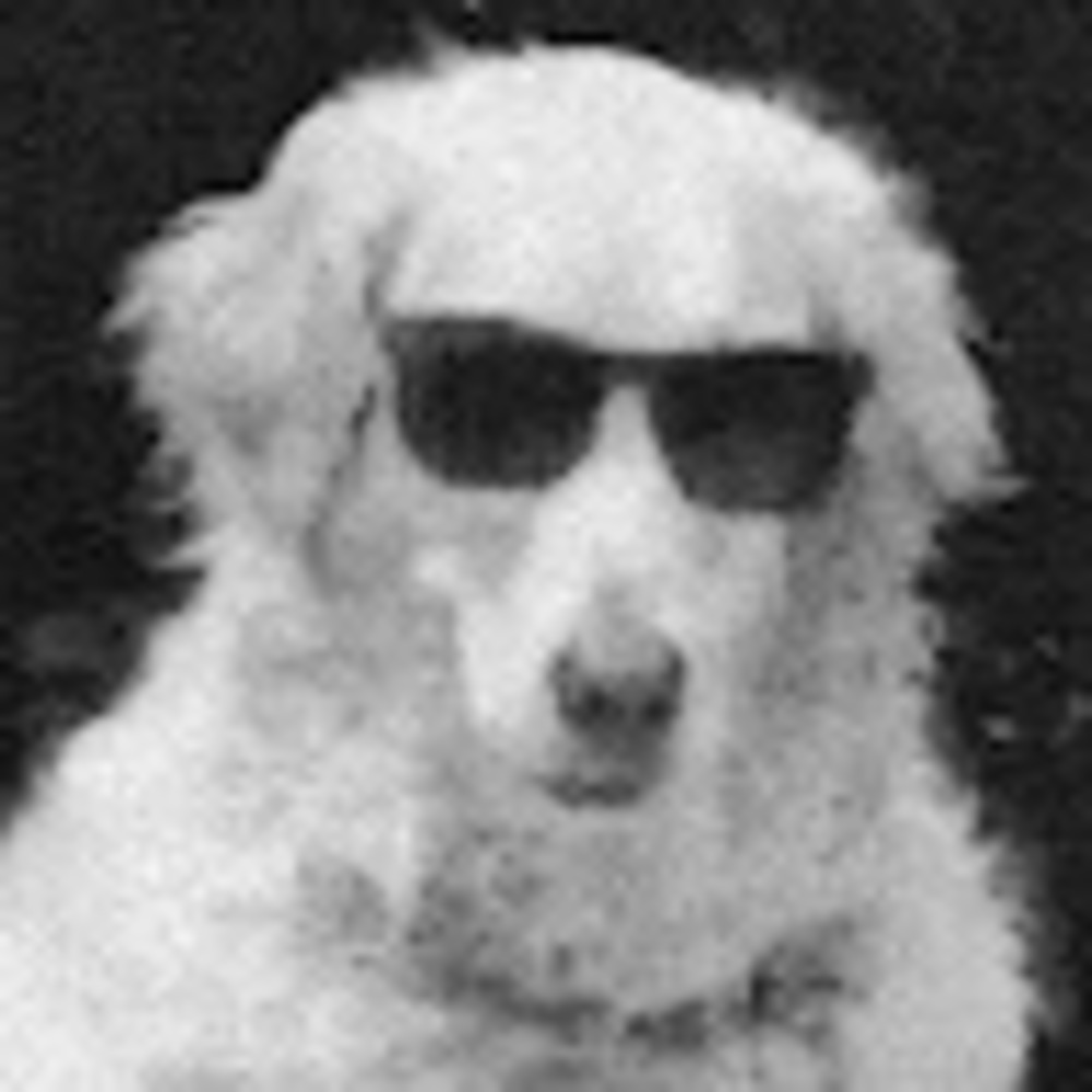 Meet your Posher, Tony